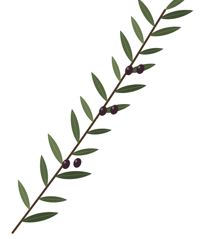 Olivenzweig